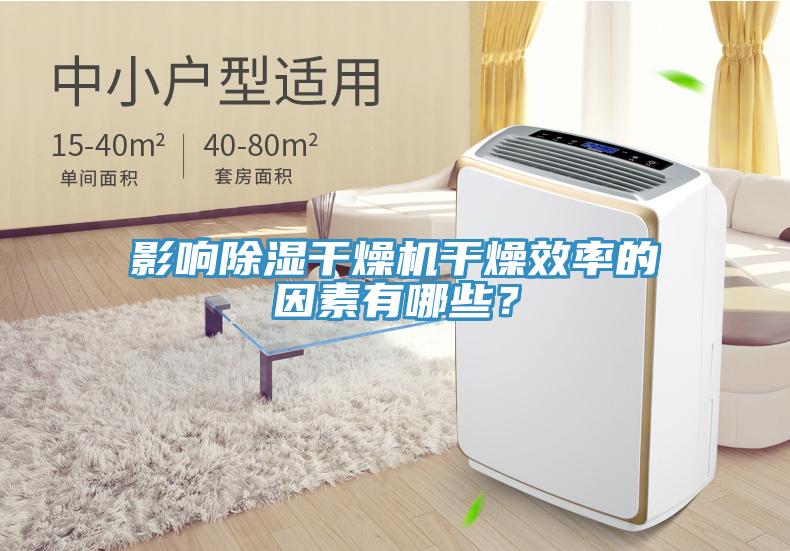 影響除濕幹燥機幹燥效率的因素有哪些？
