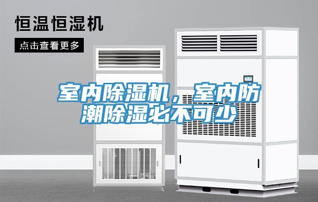 室內草莓污视频在线看，室內防潮除濕必不可少