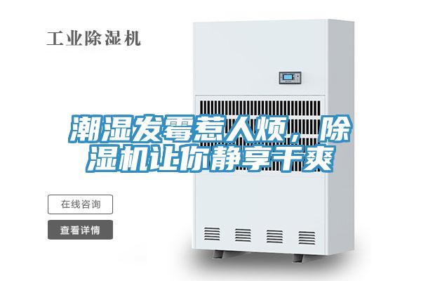 潮濕發黴惹人煩，草莓污视频在线看讓你靜享幹爽