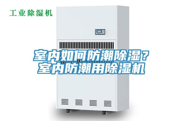 室內如何防潮除濕？室內防潮用草莓污视频在线看