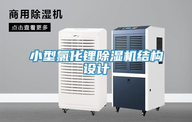 小型氯化鋰草莓污视频在线看結構設計