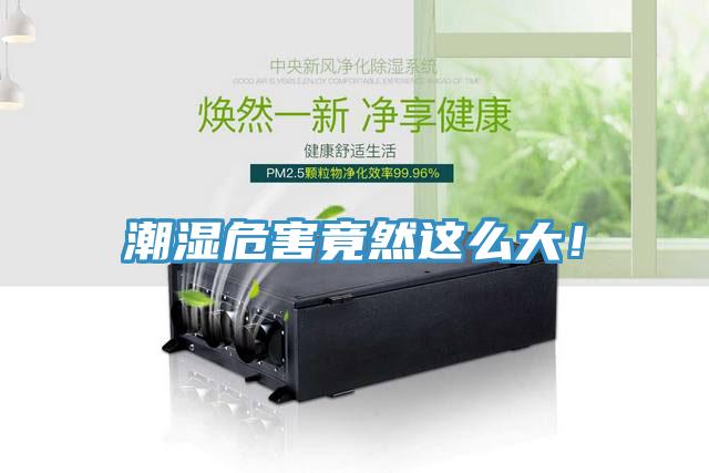 潮濕危害竟然這麽大！