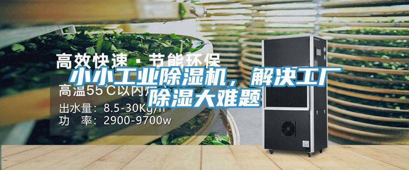 小小工業草莓污视频在线看，解決工廠除濕大難題