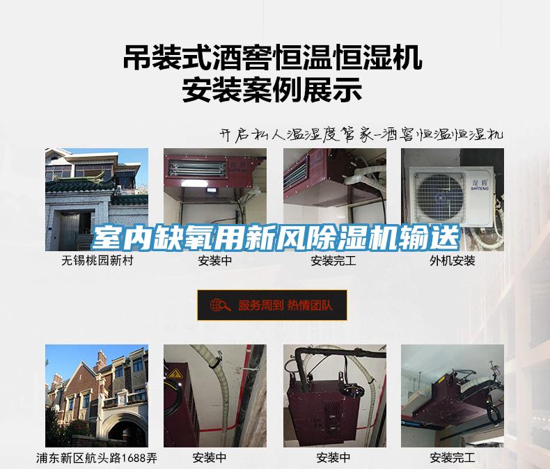 室內缺氧用新風草莓污视频在线看輸送