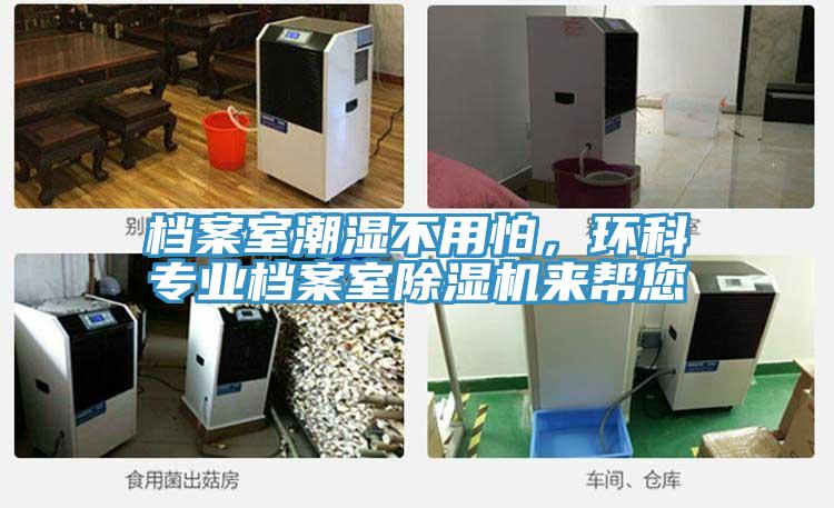 檔案室潮濕不用怕，環科專業檔案室草莓污视频在线看來幫您
