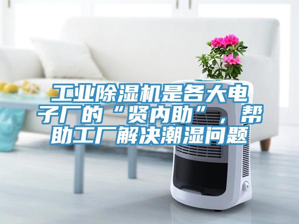 工業草莓污视频在线看是各大電子廠的“賢內助”，幫助工廠解決潮濕問題