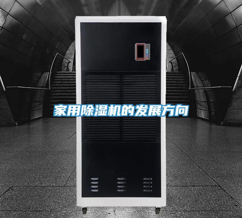家用草莓污视频在线看的發展方向