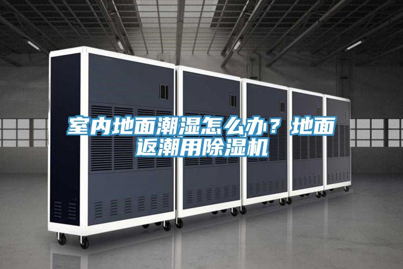 室內地麵潮濕怎麽辦？地麵返潮用草莓污视频在线看