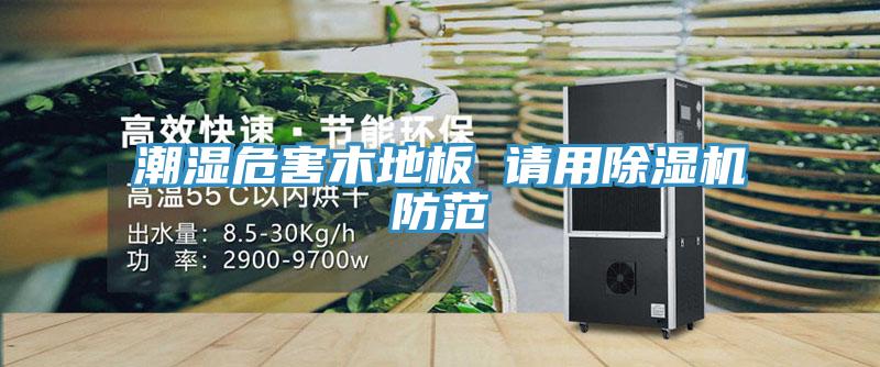 潮濕危害木地板 請用草莓污视频在线看防範