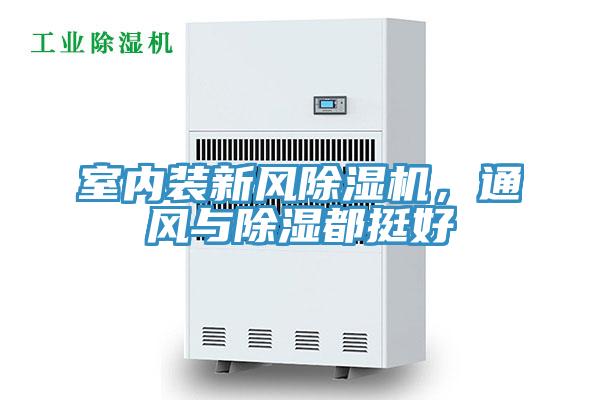 室內裝新風草莓污视频在线看，通風與除濕都挺好