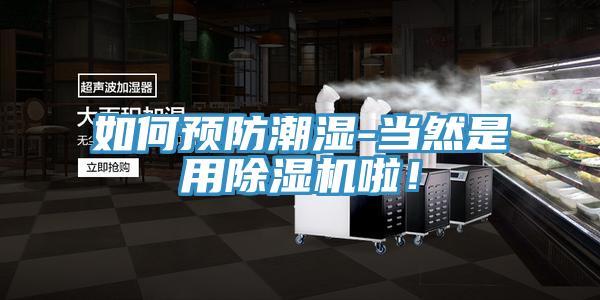 如何預防潮濕-當然是用草莓污视频在线看啦！