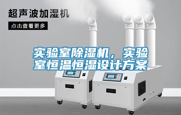 實驗室草莓污视频在线看，實驗室恒溫恒濕設計方案
