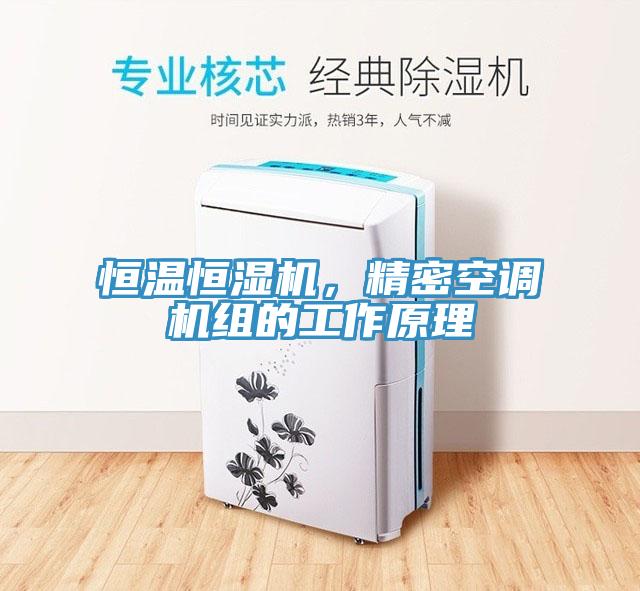 恒溫恒濕機，精密空調機組的工作原理