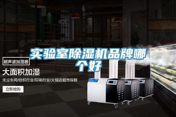 實驗室草莓污视频在线看品牌哪個好