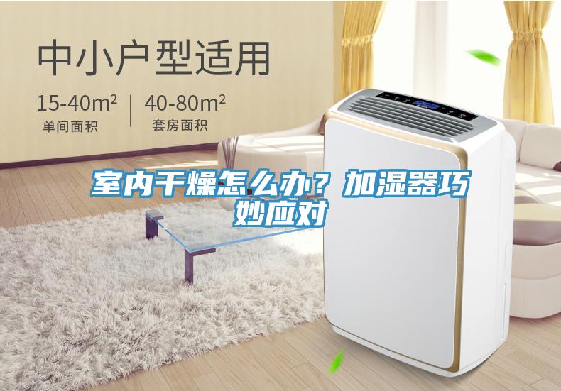 室內幹燥怎麽辦？加濕器巧妙應對