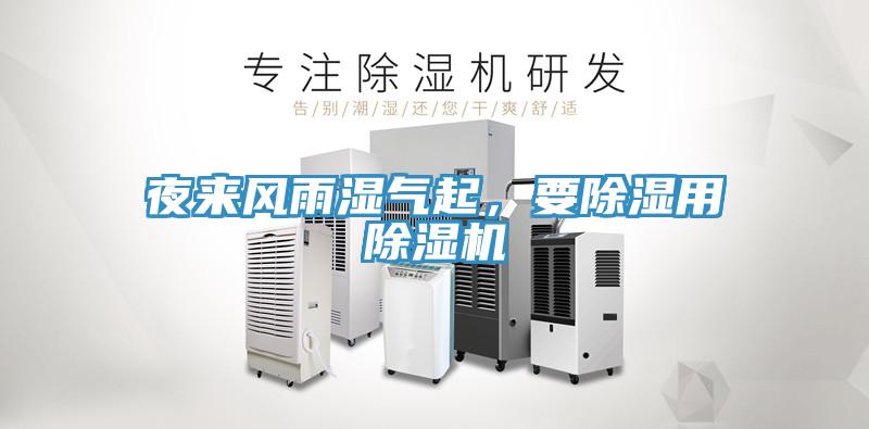 夜來風雨濕氣起，要除濕用草莓污视频在线看