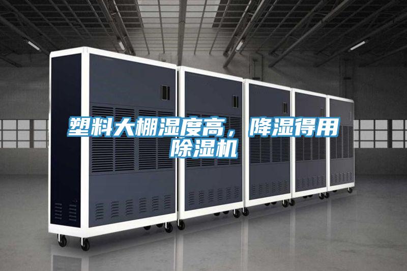 塑料大棚濕度高，降濕得用草莓污视频在线看