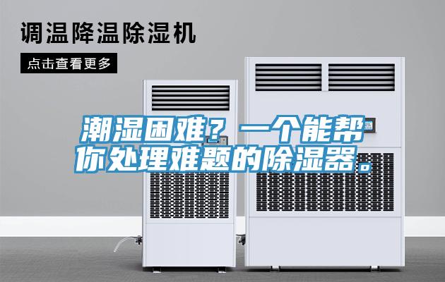 潮濕困難？一個能幫你處理難題的除濕器。