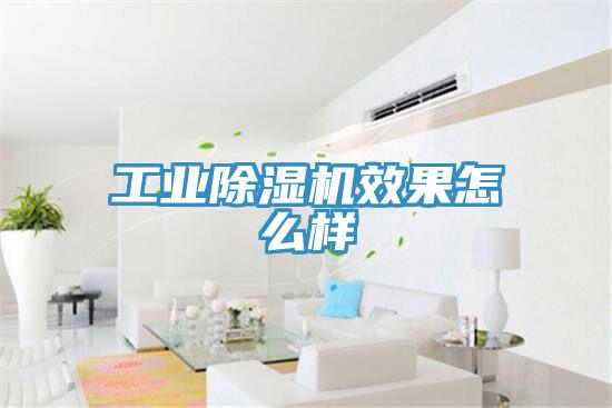 工業草莓污视频在线看效果怎麽樣