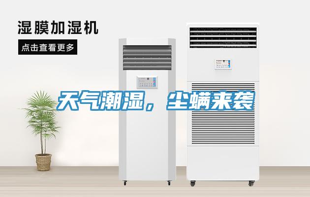天氣潮濕，塵蟎來襲
