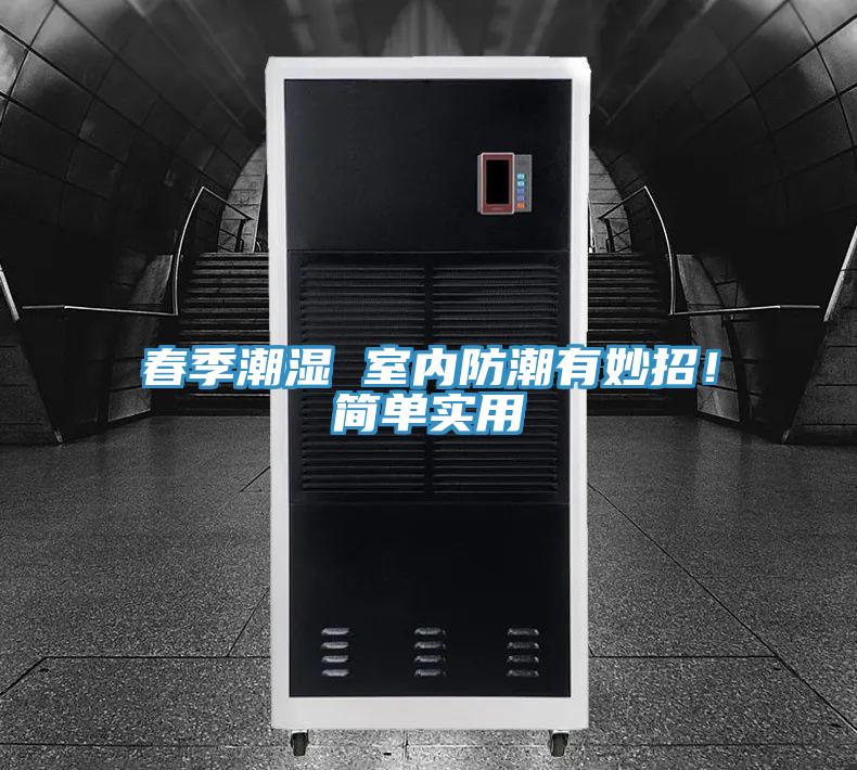 春季潮濕 室內防潮有妙招！簡單實用