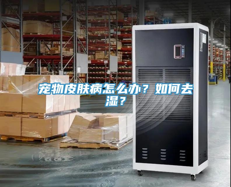 寵物皮膚病怎麽辦？如何去濕？