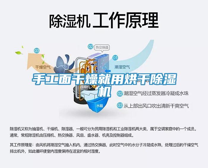 手工麵幹燥就用烘幹草莓污视频在线看