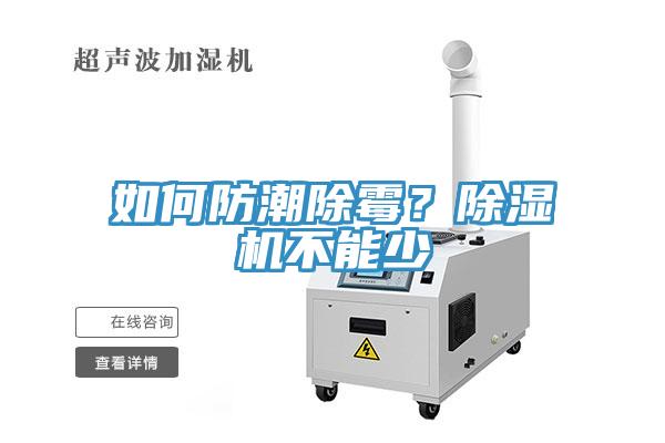 如何防潮除黴？草莓污视频在线看不能少