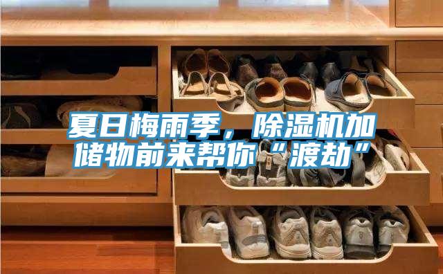 夏日梅雨季，草莓污视频在线看加儲物前來幫你“渡劫”
