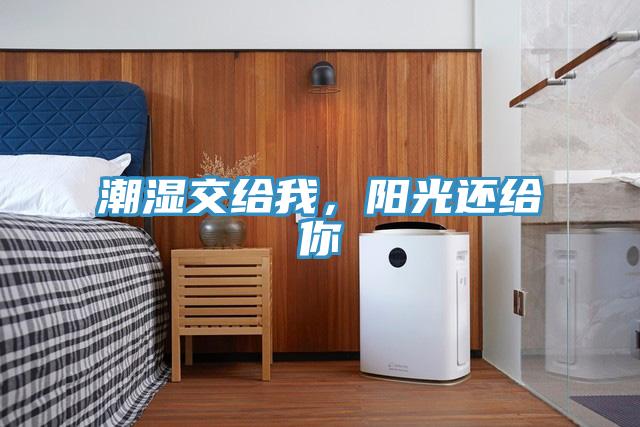 潮濕交給我，陽光還給你