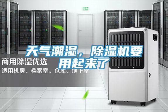 天氣潮濕，草莓污视频在线看要用起來了