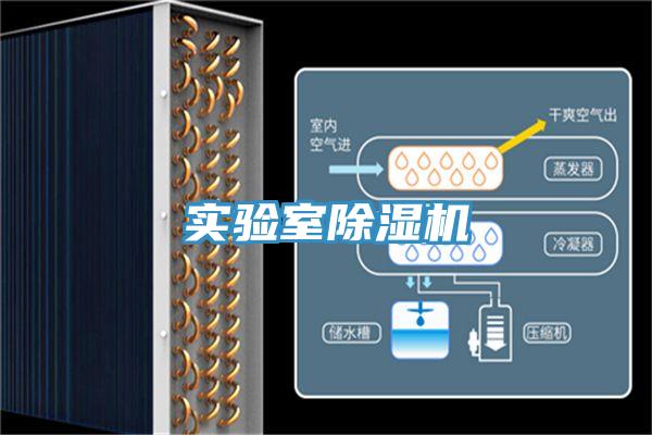 實驗室草莓污视频在线看