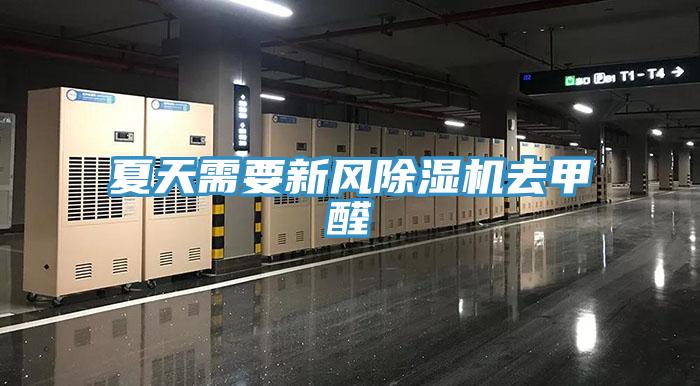 夏天需要新風草莓污视频在线看去甲醛