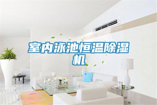 室內泳池恒溫草莓污视频在线看
