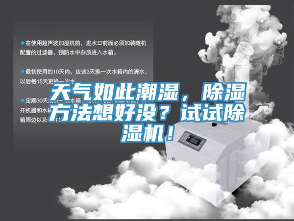 天氣如此潮濕，除濕方法想好沒？試試草莓污视频在线看！