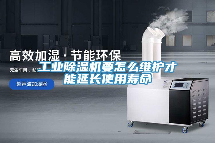 工業草莓污视频在线看要怎麽維護才能延長使用壽命