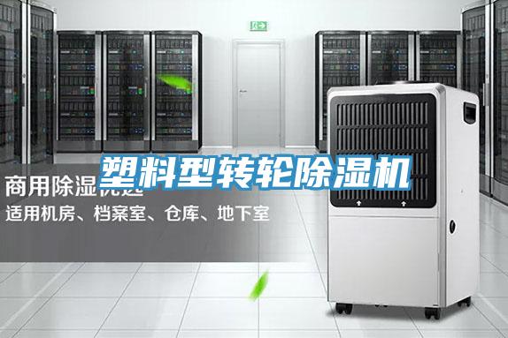 塑料型轉輪草莓污视频在线看
