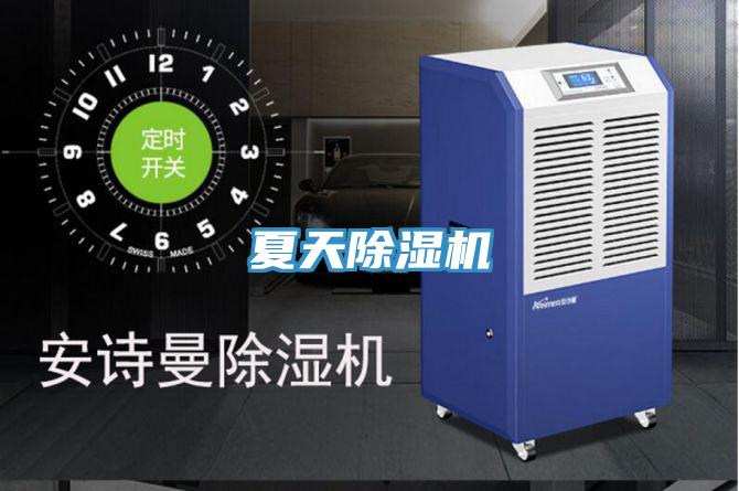 夏天草莓污视频在线看