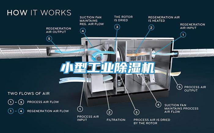 小型工業草莓污视频在线看