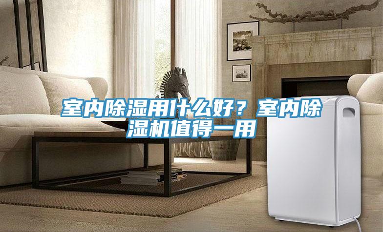 室內除濕用什麽好？室內草莓污视频在线看值得一用