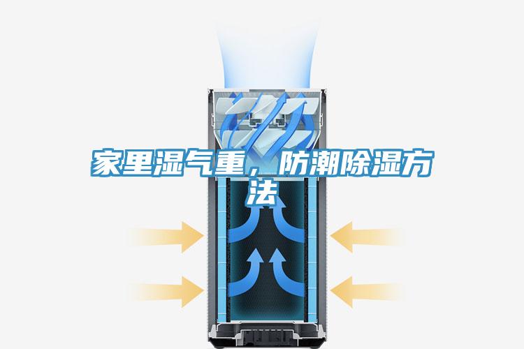 家裏濕氣重，防潮除濕方法