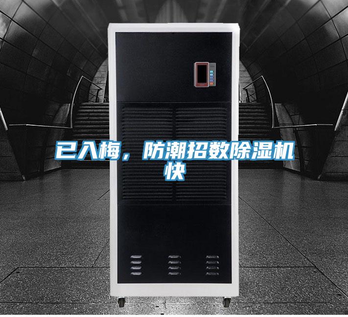 已入梅，防潮招數草莓污视频在线看快