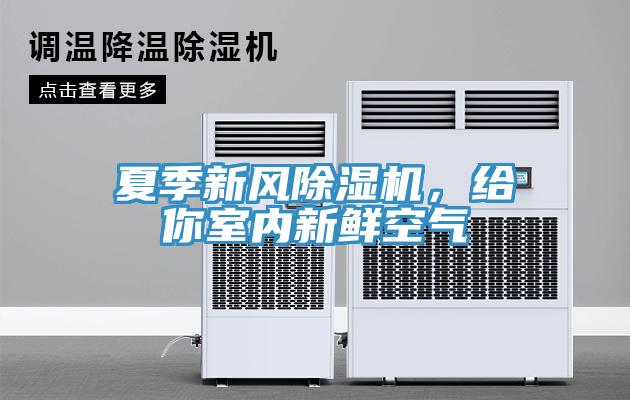 夏季新風草莓污视频在线看，給你室內新鮮空氣