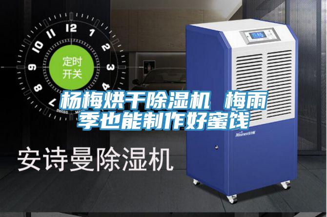 楊梅烘幹草莓污视频在线看 梅雨季也能製作好蜜餞