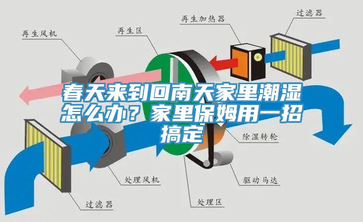 春天來到回南天家裏潮濕怎麽辦？家裏保姆用一招搞定