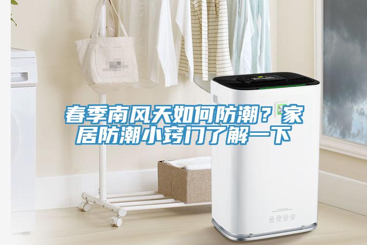 春季南風天如何防潮？家居防潮小竅門了解一下