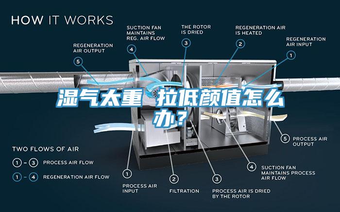 濕氣太重 拉低顏值怎麽辦？