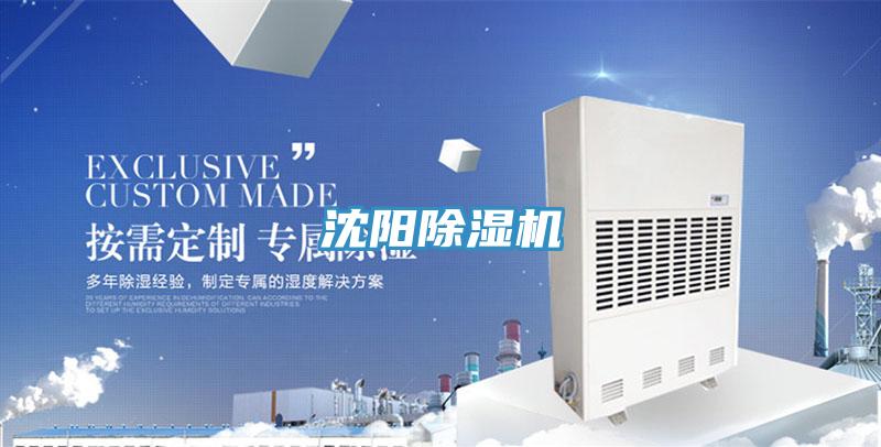 沈陽草莓污视频在线看
