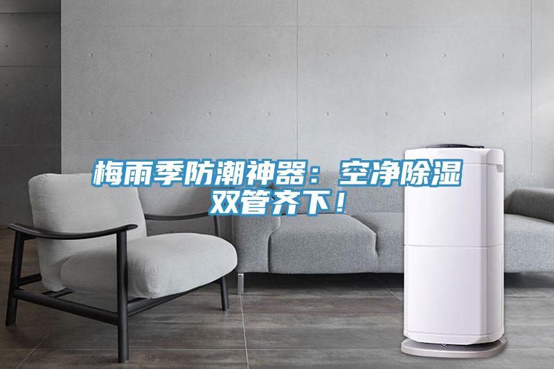 梅雨季防潮神器：空淨除濕雙管齊下！