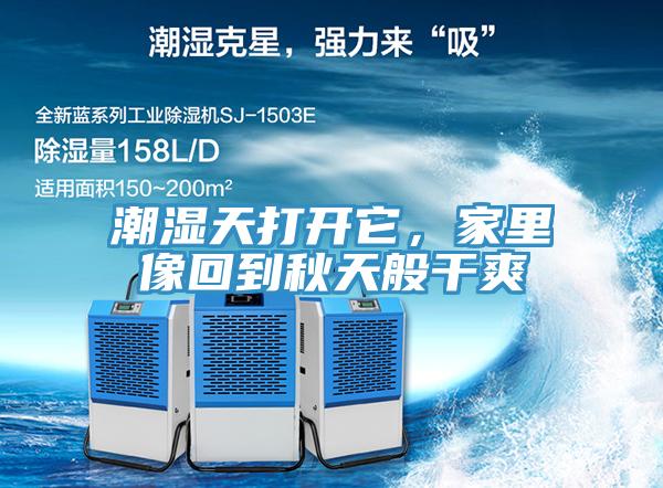 潮濕天打開它，家裏像回到秋天般幹爽